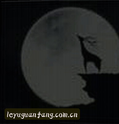陈静